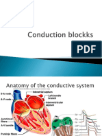 Lecture 5 Conduction Blocks (1)