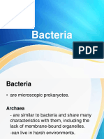 Bacteria