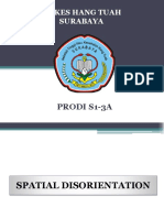 Spatial Disorientation