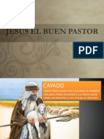 Ovejas Sin Pastor / Exposicion Ilustrada