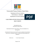 22994091-TESIS-CARACTERIZACION-DE-CELDAS-DE-FLOTACION-DE-GRAN-TAMANO.pdf