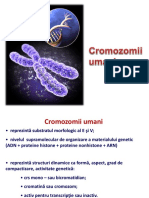 Cromozomii Umani ROM