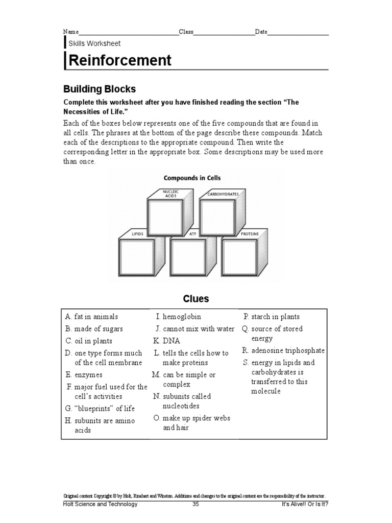 Reinforcement Worksheet Cell Biology Lipid