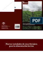 Nuevas Variedades de Yuca Forrajera para La Alimentación Bovina