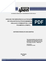 2007SantosAnalise PDF