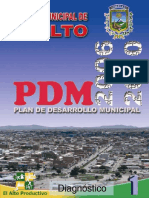 1._DIAGNOSTICO_PDM_2006-2010[1]