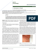 Irritant Contact Dermatitis Mechanisms To Repair 2155 9554.1000246