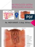 Sistem Reproduksi Wanita