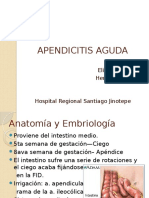 Apendicitis 