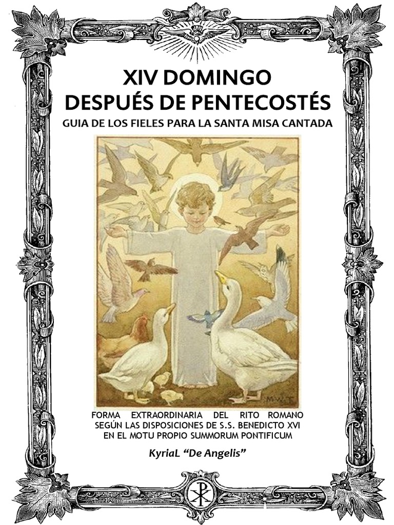 Después De El Libro Pdf Gratis Flor Salvador