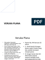 Veruka Plana