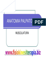 Palpatoria.pdf