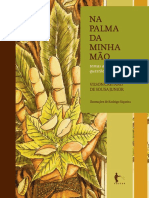 _Na palma da minha mao_ temas afro-brasileiros e questoes contemporaneas.pdf