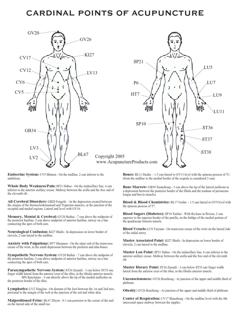 Cardinalfree PDF | PDF | Anatomical Terms Of Location | Human Anatomy