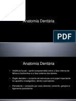 Anatomia Dentaria Aula2 m3