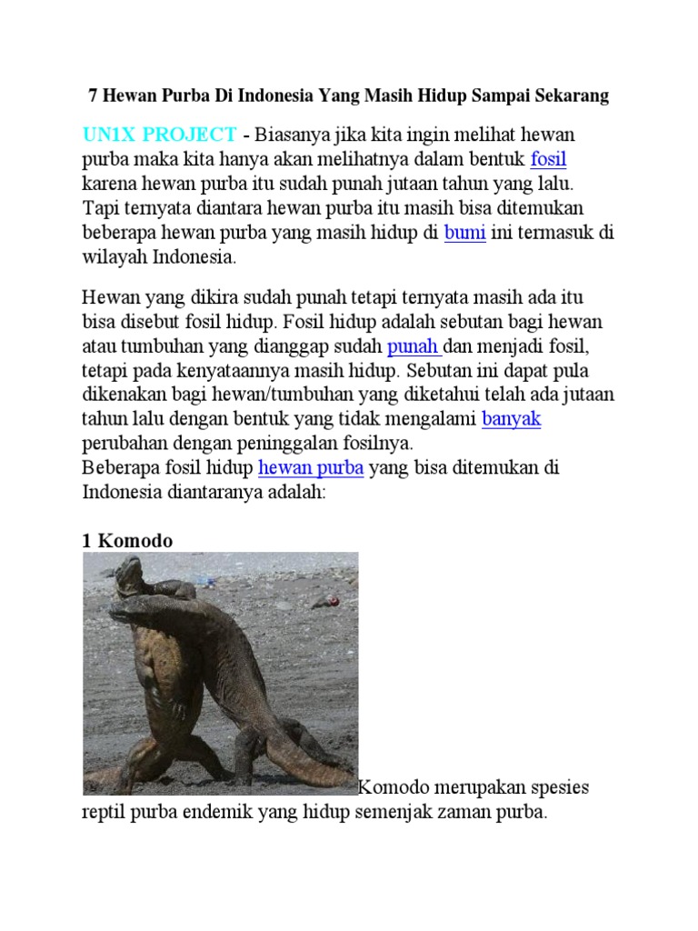 560 Gambar Fosil Hewan Dan Tumbuhan HD Terbaik