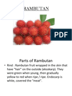 Rambutan Parts and Health Benefits