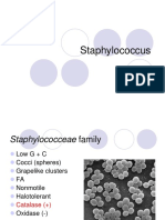 Staphylococcus SP