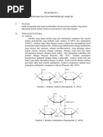 Download PRAKTIKUM 1_Pengamatan Amilum by Putriyanny Ratnasari SN358360673 doc pdf