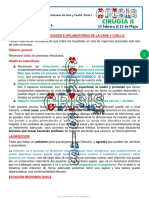 17.-Procesos-Infeccioos-I.-1G