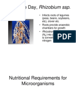 04 Microbiology Nutrients