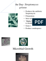 05 Microbiology Cell Growth-1