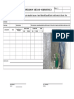 15 - Formato Prueba de Presion de Hidrostatica