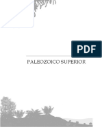 PALEOZOICO