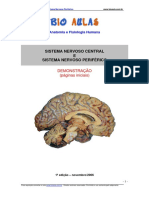 sistema_nervoso_central_periferico_demo.pdf
