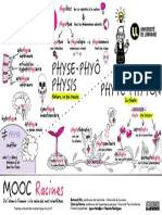 Mooc Racines s1 Phy - Physi o - Physe - Phyte Phyl o