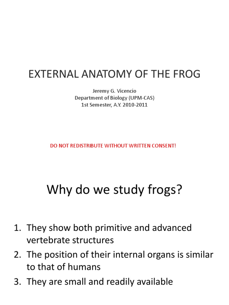 Frog Anatomy for Biology Students | PDF | Anatomical Terms Of Location ...