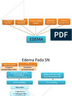 Edema Pada SN