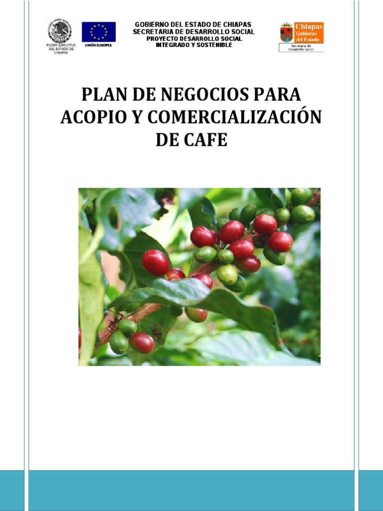 Plan de Negocios para Acopio de Café | PDF | café | Siembra