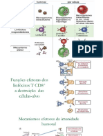 Atividade Nutri