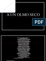 a_un_olmo_seco