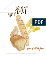 WheatFromFieldToFlour PDF