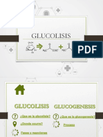 GLUCOLISIS