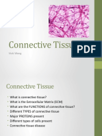 Connective Tissue PP