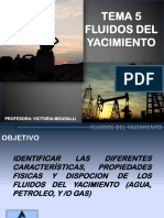 TEMA 6 FLUIDOS DE YACIMIENTO (1).pdf