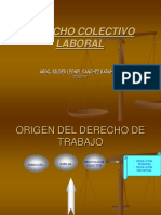 Derecho Colectivo Laboral