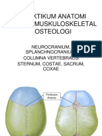 Praktikum Osteologi 1