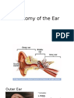 Anatomy of The Ear