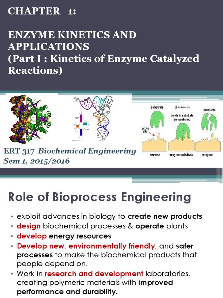 1FFF11B1BD16627EE05400144FEB5F70.ppt Catalysis Enzyme