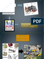 TRANSFORMACIONES DEL HIERRO Ecologia Microbiana