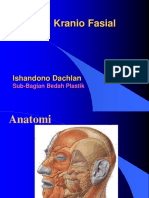 Trauma Craniofacial