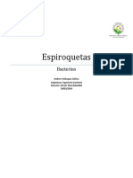 Espiroquetas