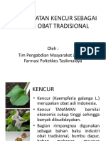 Pemanfaatan Kencur Sebagai Bahan Obat Tradisional