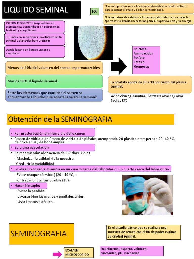 LIQUIDO SEMINAL.pptx | Semen | Inflamación