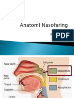 Anatomi Nasofaring