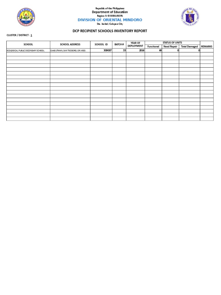 DCP Inventory Form | PDF